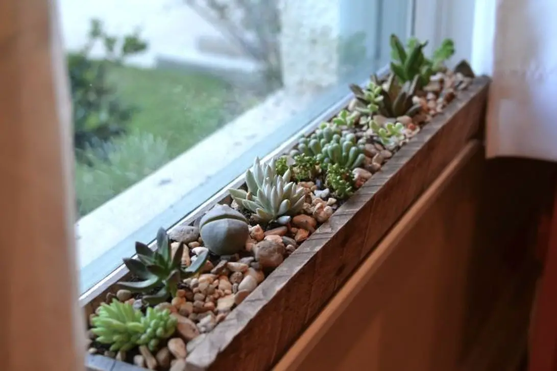 10 Window Design Ideas With Plant That Make Your Home Cozy More Talkdecor