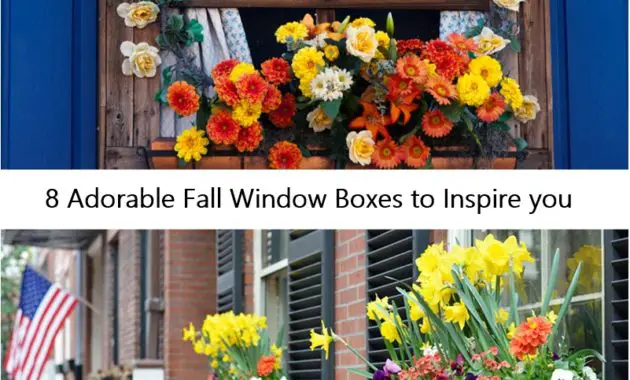 8 Adorable Fall Window Boxes to Inspire you - Talkdecor