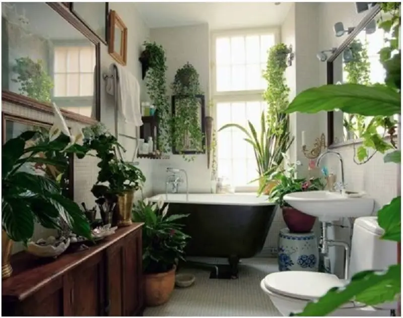 Bathroom With Garden