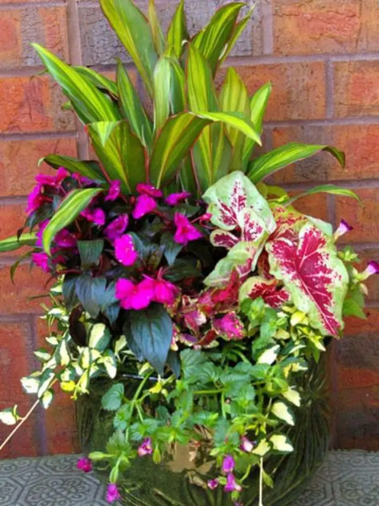 8 Colorful And Inspiring Container Gardening Ideas - Talkdecor
