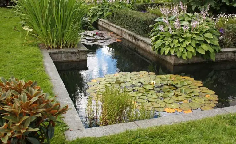 8 Well-Designed Backyard Garden Pond to Raise Your Landscaping Game ...