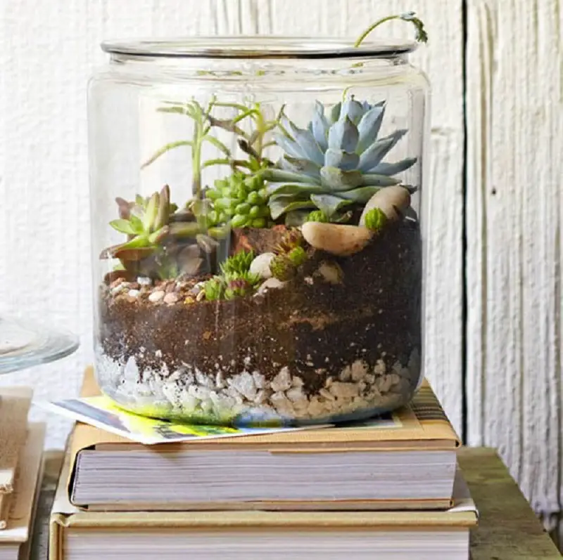 Garden In A Jar