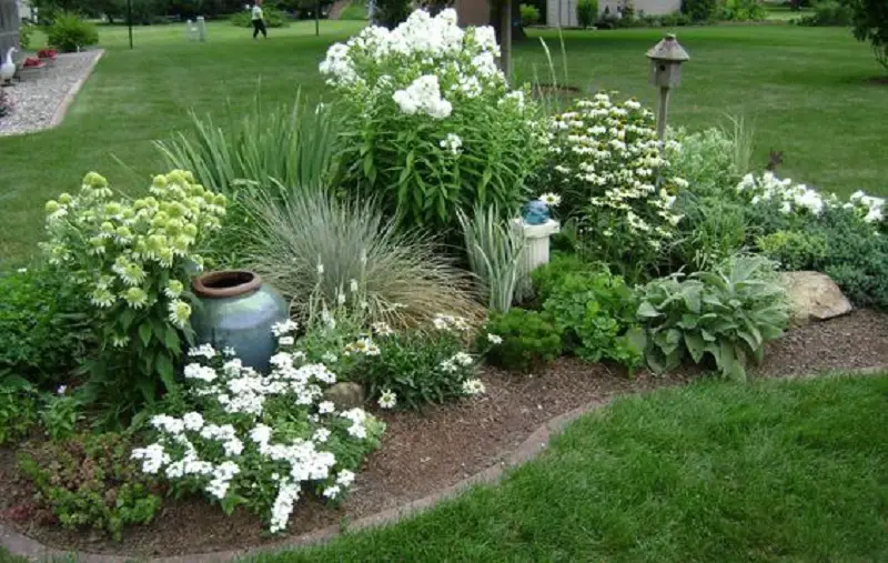 Green Grass