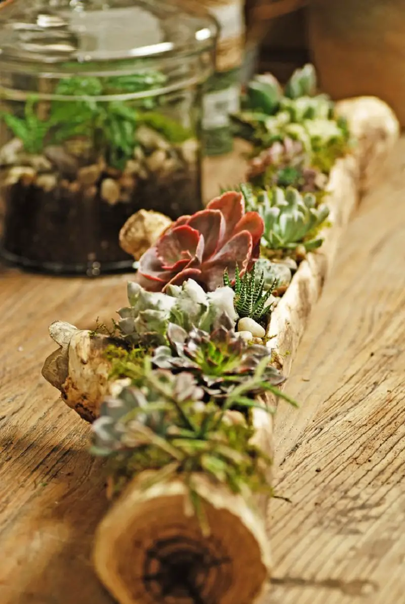 Log Arrangement