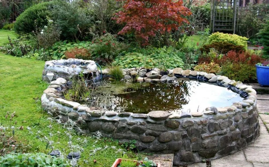8 Well Designed Backyard Garden Pond To Raise Your Landscaping Game 8-well-designed-backyard-garden-pond-to-raise-your-landscaping-game