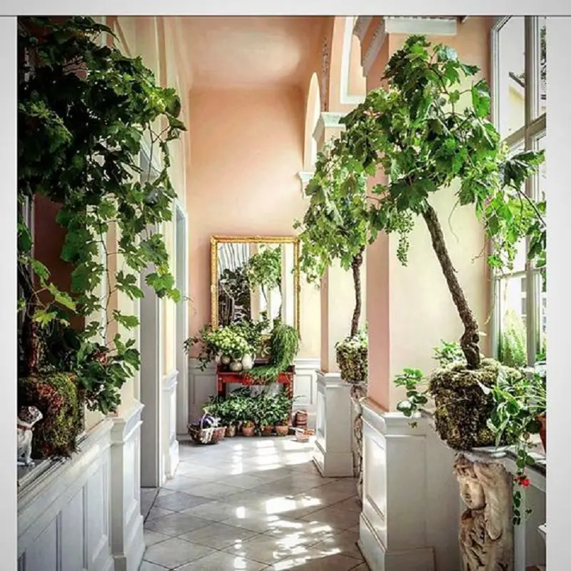 8 Small Indoor Garden Ideas for Fascinating Room Design - Talkdecor