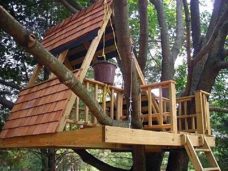 8 Amazing Wooden Tree House Designs For Kids Talkdecor