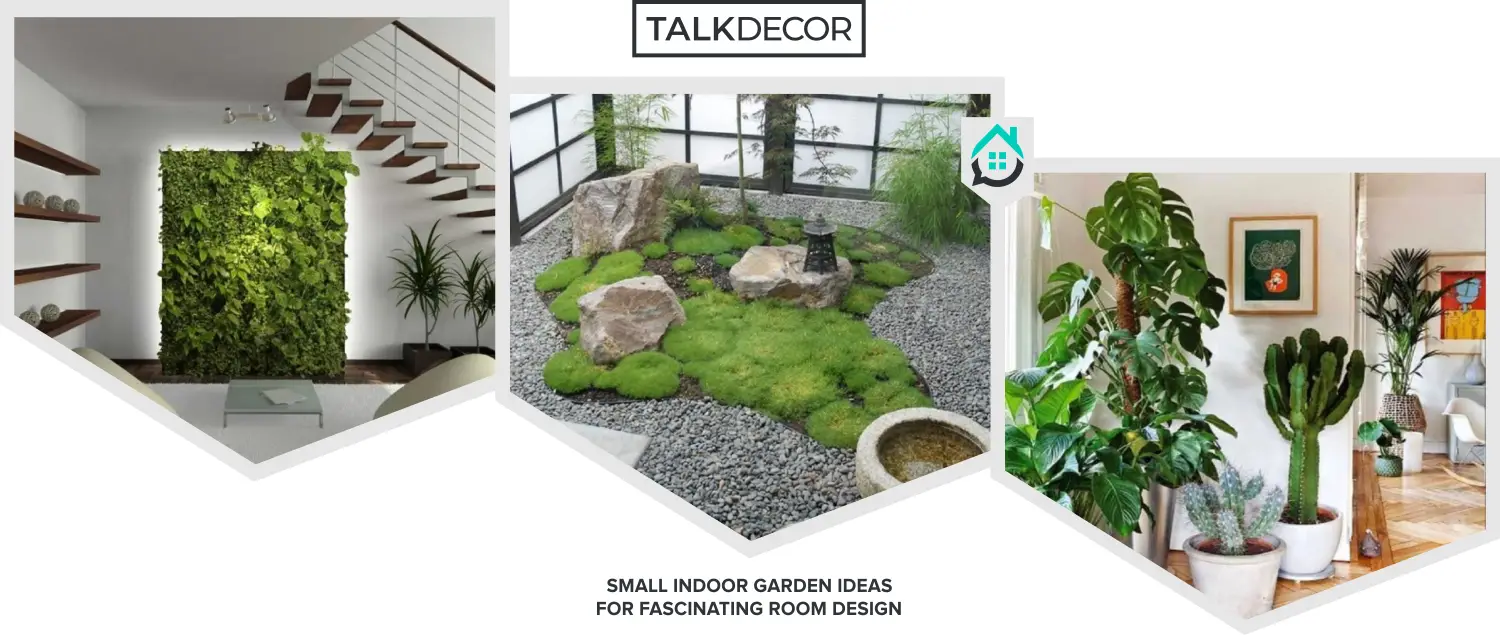8 Small Indoor Garden Ideas for Fascinating Room Design
