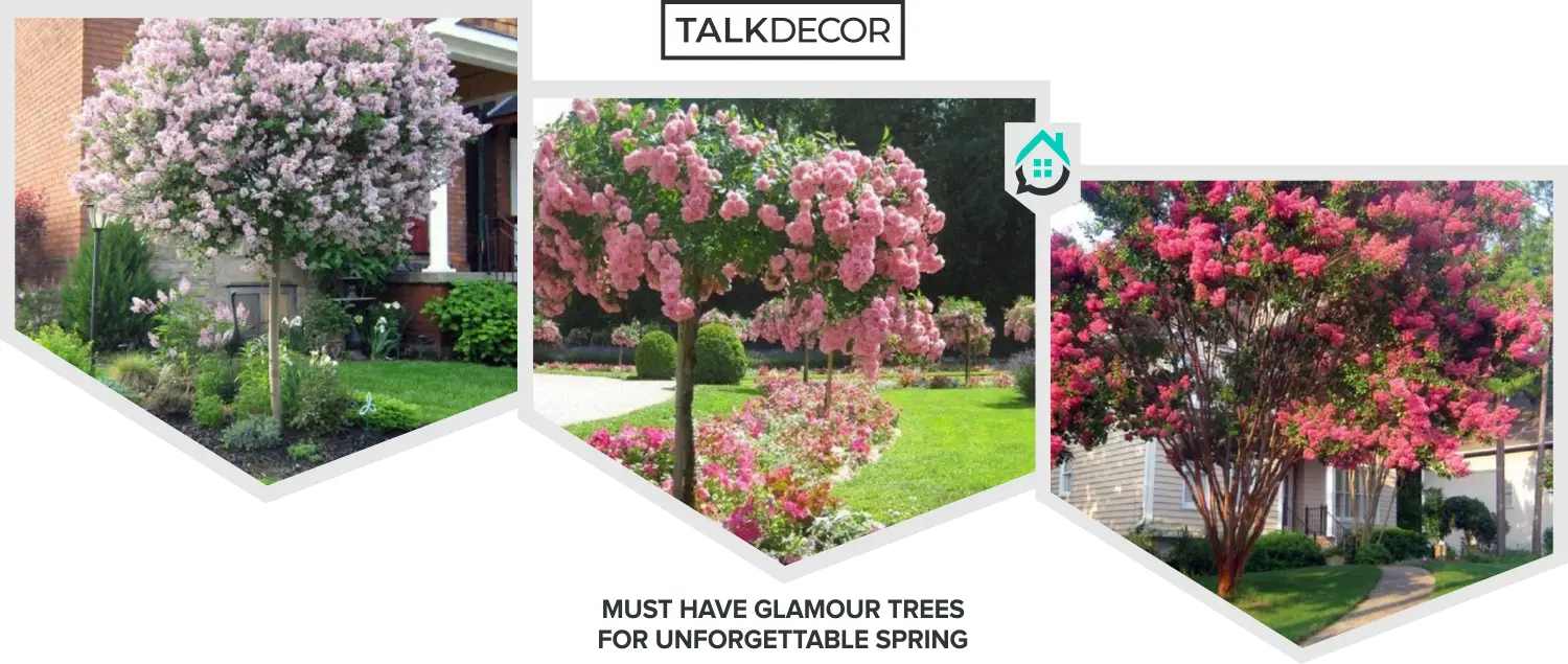8 Must Have Glamour Trees for Unforgettable Spring