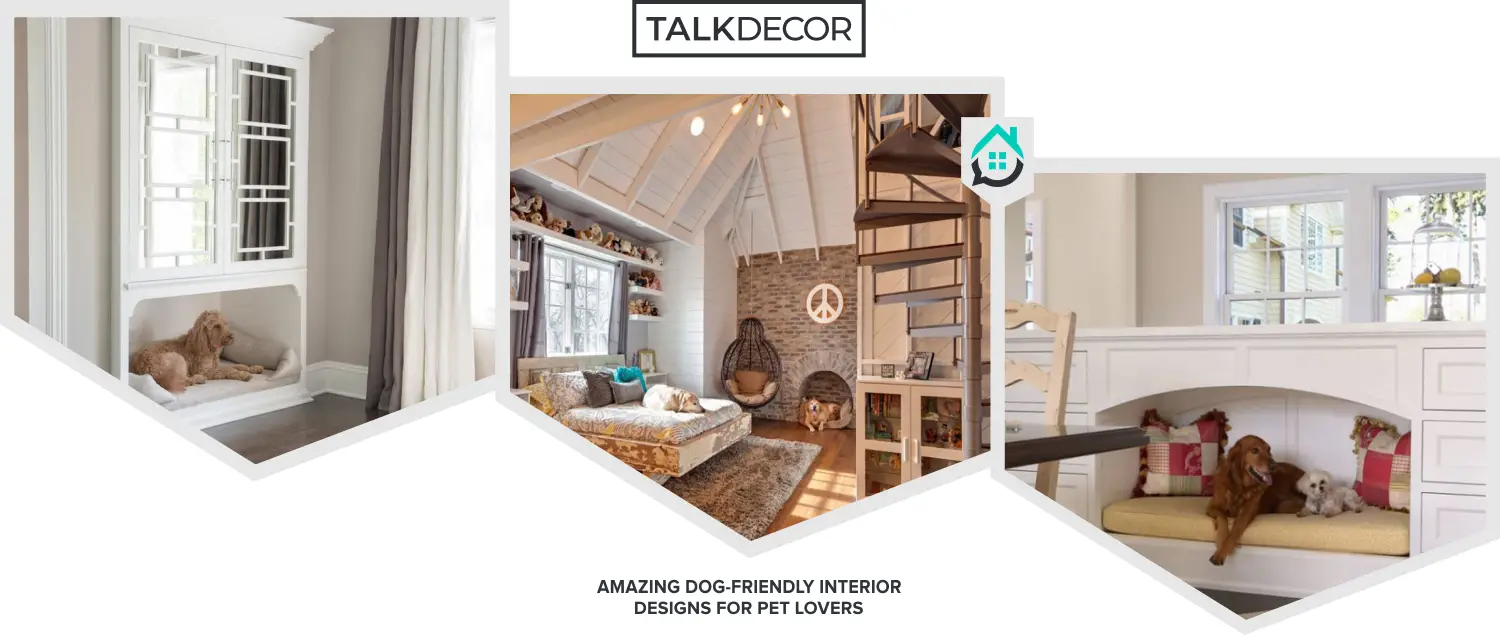 8 Amazing Dog-Friendly Interior Designs For Pet Lovers