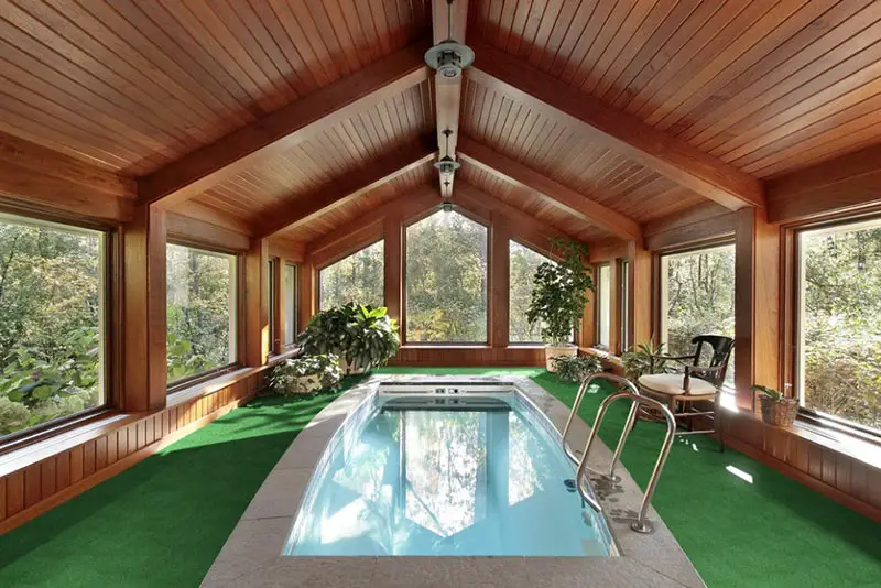 Beautiful Indoor Pool With Plant