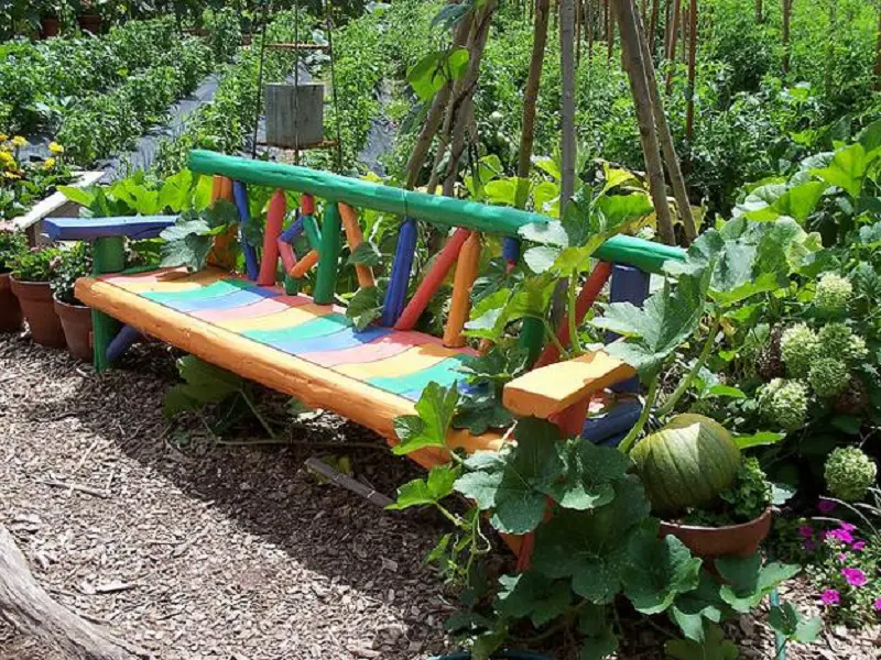 Colorful Bench In A Rustic Farm Design