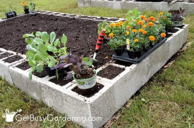 Concrete Blocks Raised Garden Bed
