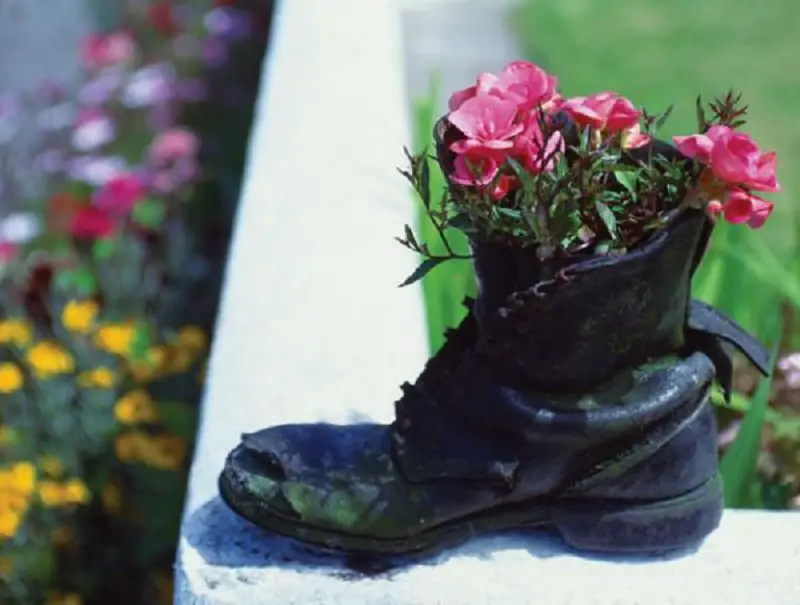 Old Boot Rose Planter