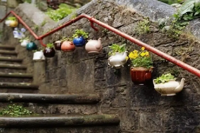 Old Teapots Holding Flowers