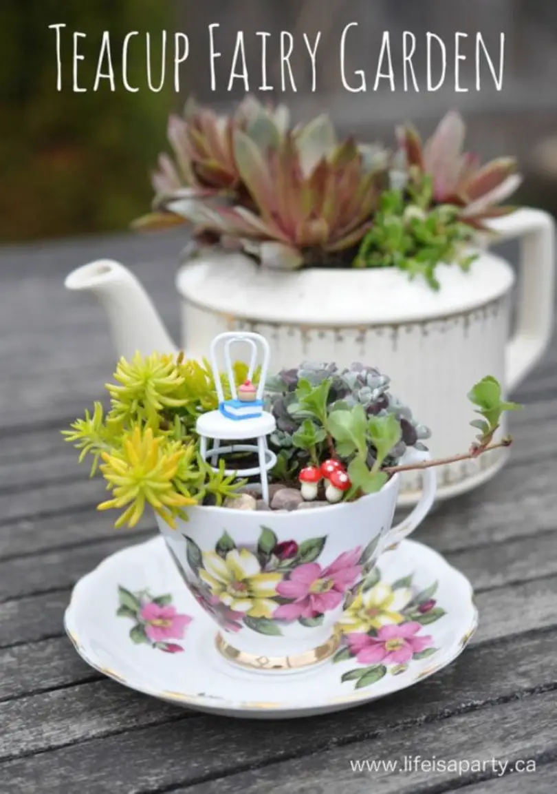Teacup Fairy Garden