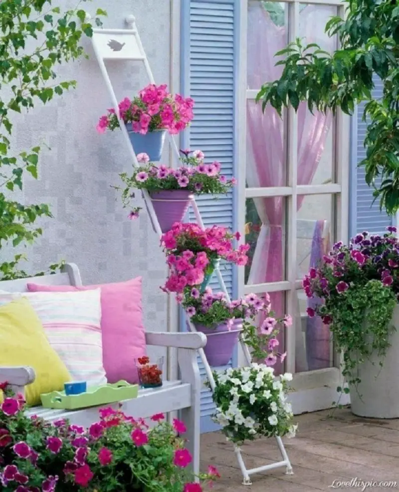 Terrace Flooded By Flowers