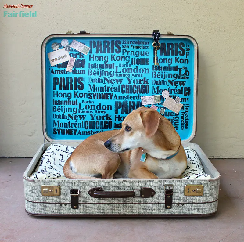 Turn A Suitcase Into A DIY Dog Bed