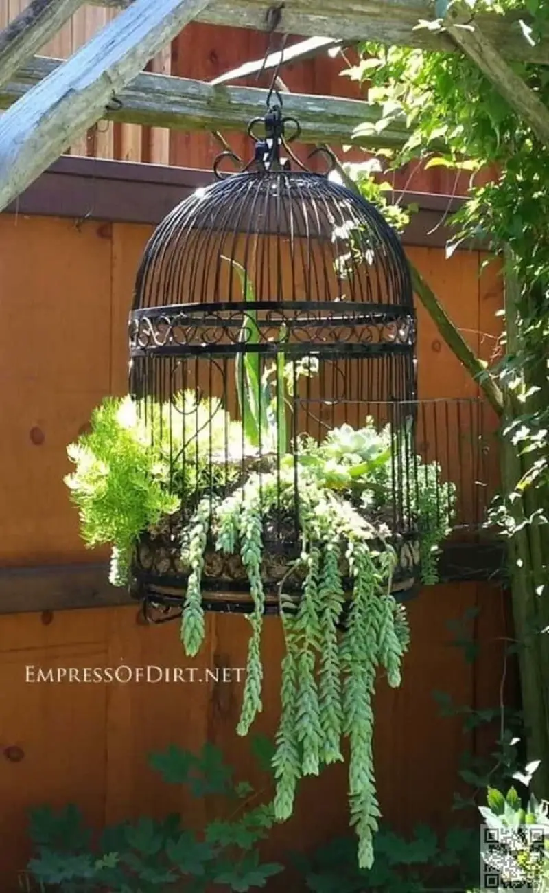Vintage Garden With Birdcage