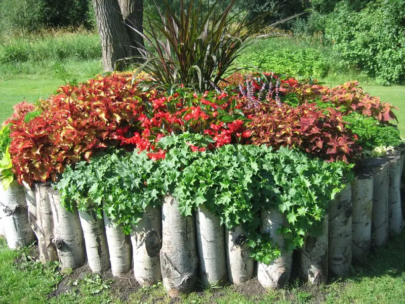 Wood Stumps Used To Create A Flower Bed