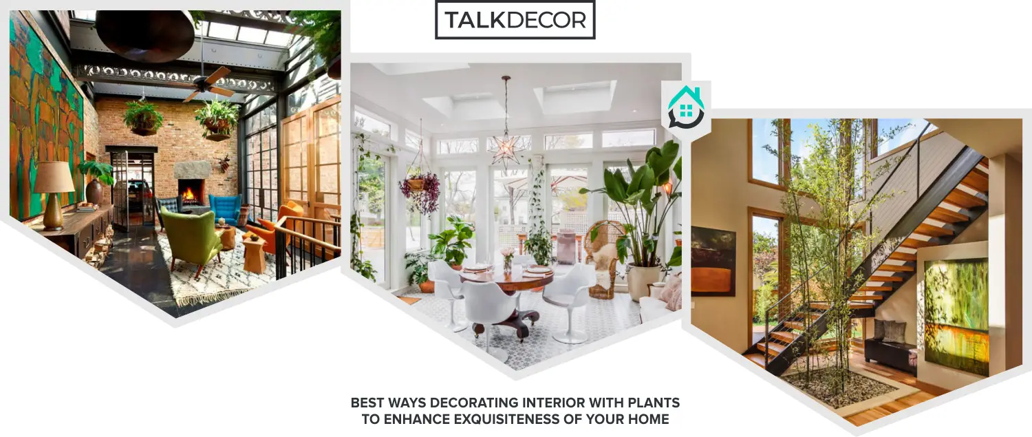8 Best Ways Decorating Interior With Plants To Enhance Exquisiteness Of Your Home