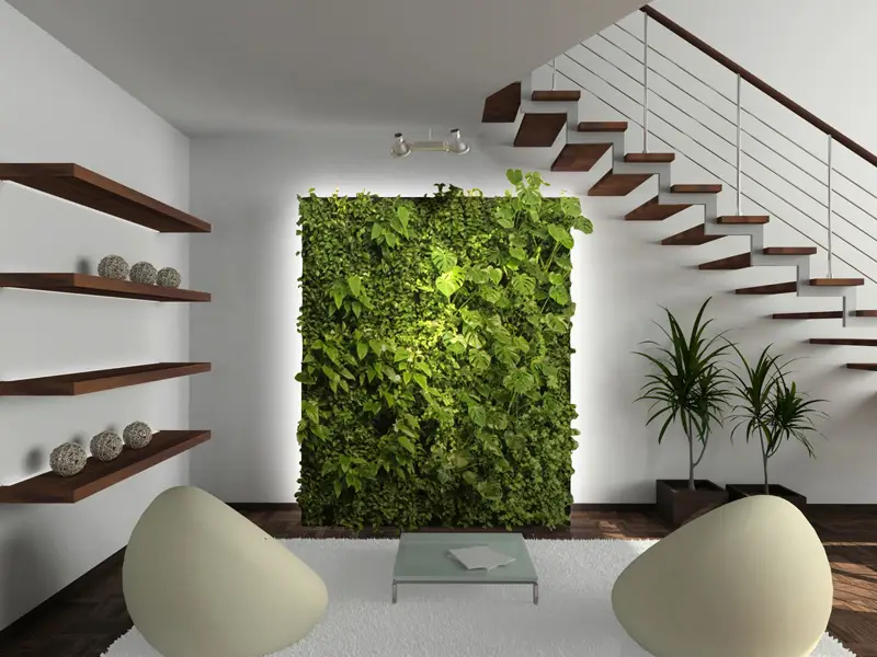 Create A Living Wall