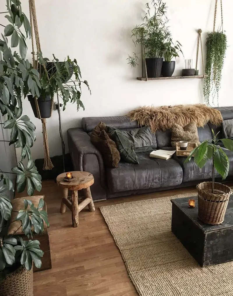 Go With Indoor Plants