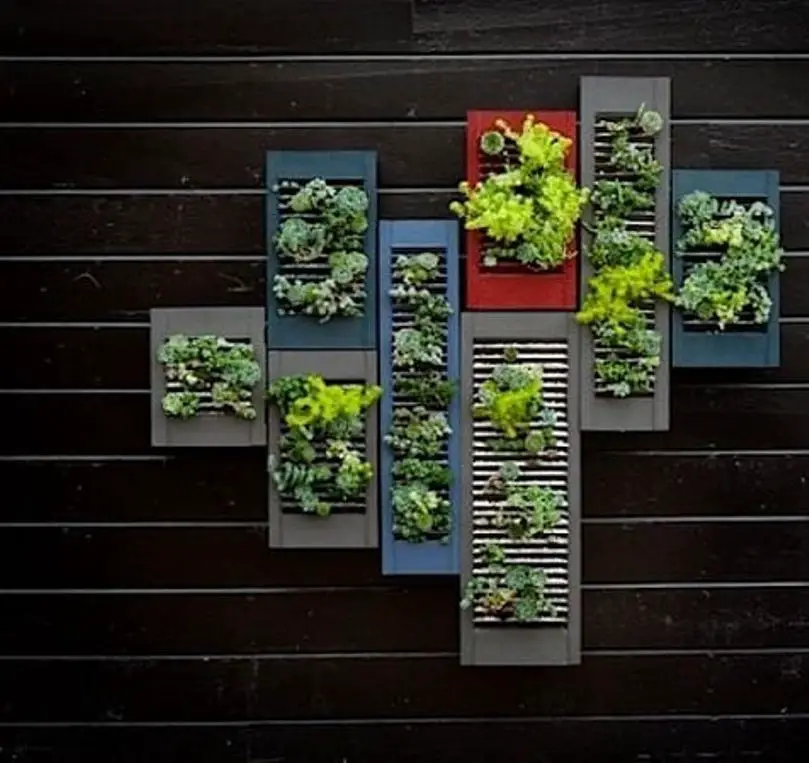 Old Window Shutter As Vertical Garden