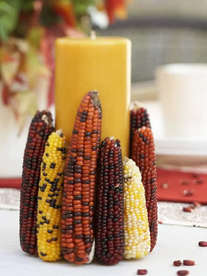 Corn Candle Holder