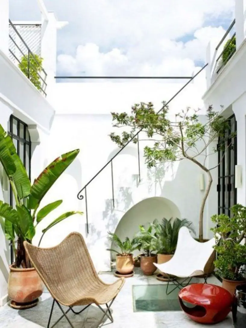 Small Tropical Patio With Lots Of Potted Plants