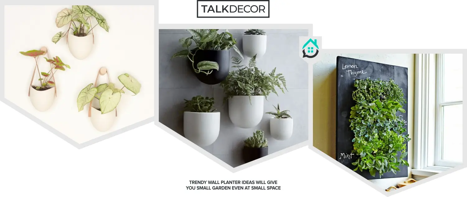 8 Trendy Wall Planter Ideas That Will Give You Small Garden Even at Small Space