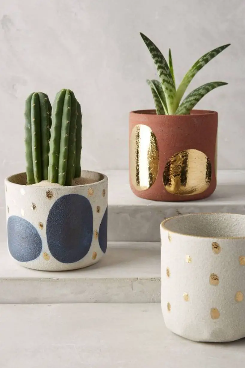 Abstract Spotted Pots