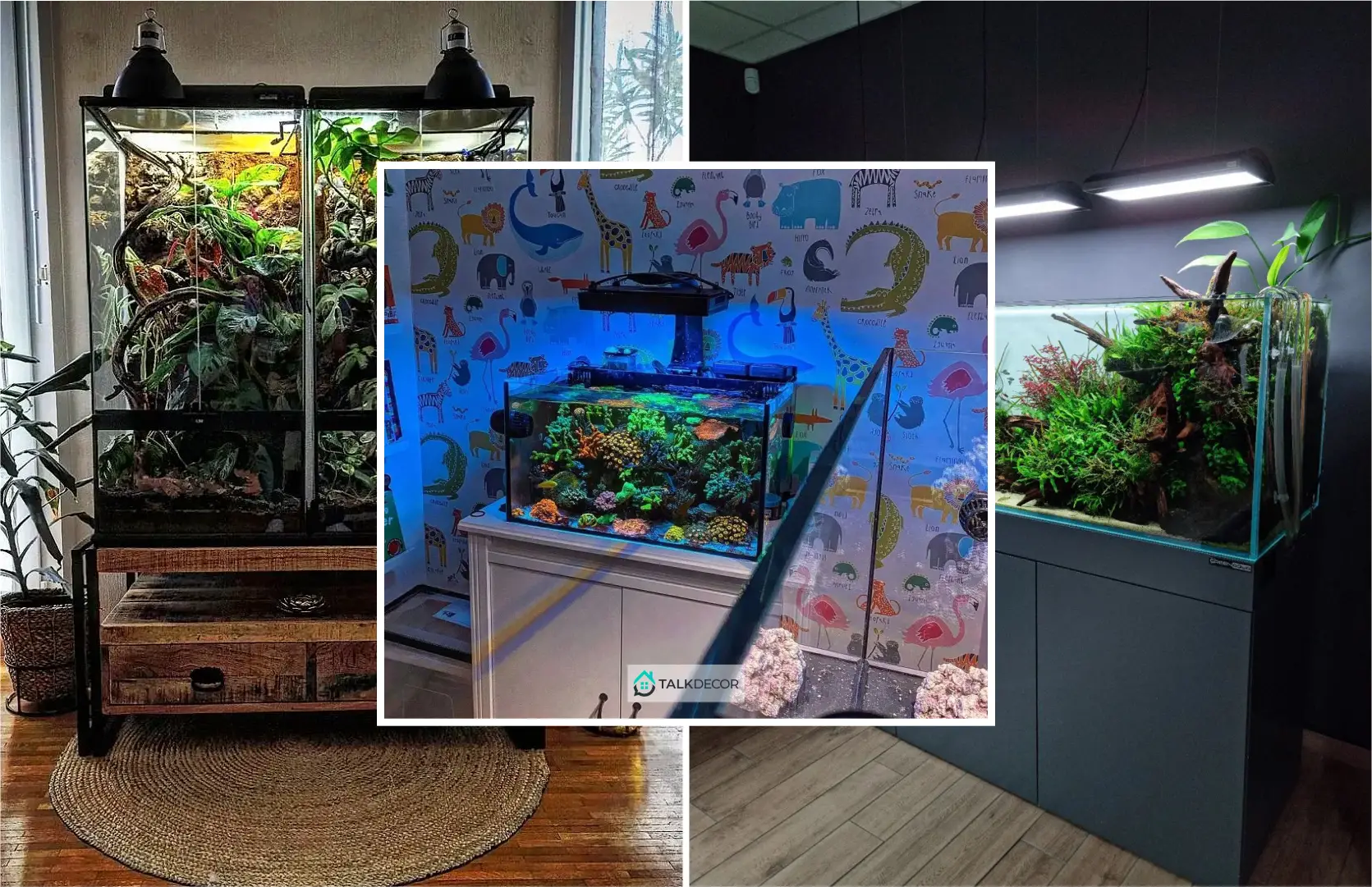 10 Wondrous Aquarium Design Ideas for Your Extraordinary Home Decoration