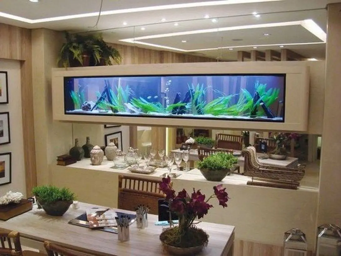 85+ Aquarium Design For Living Room Terbaru