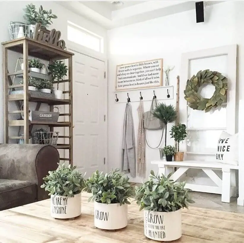 20 Simple and Cheap Indoor Planting Ideas for Your Apartment - Talkdecor