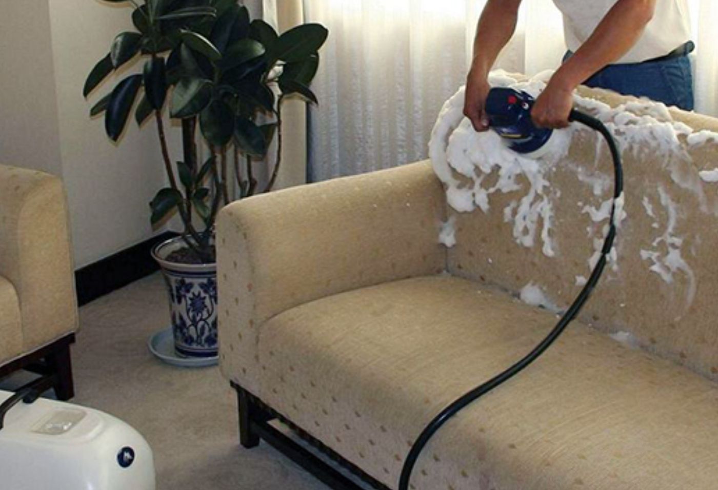 sofa and bed cleaning