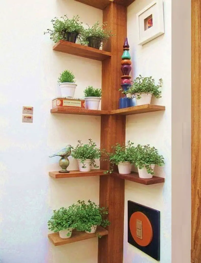 plant shelf decor