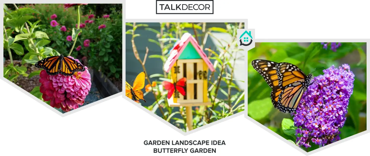 21 Garden Landscape Idea: Butterfly Garden
