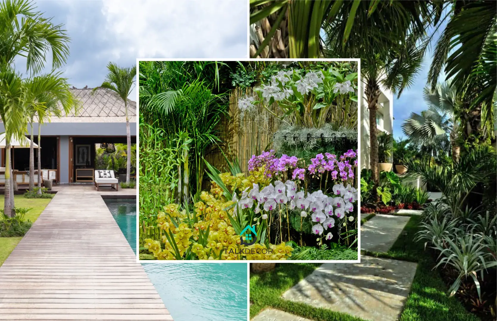 Backyard Ideas with Ultimate Tropical Vibe