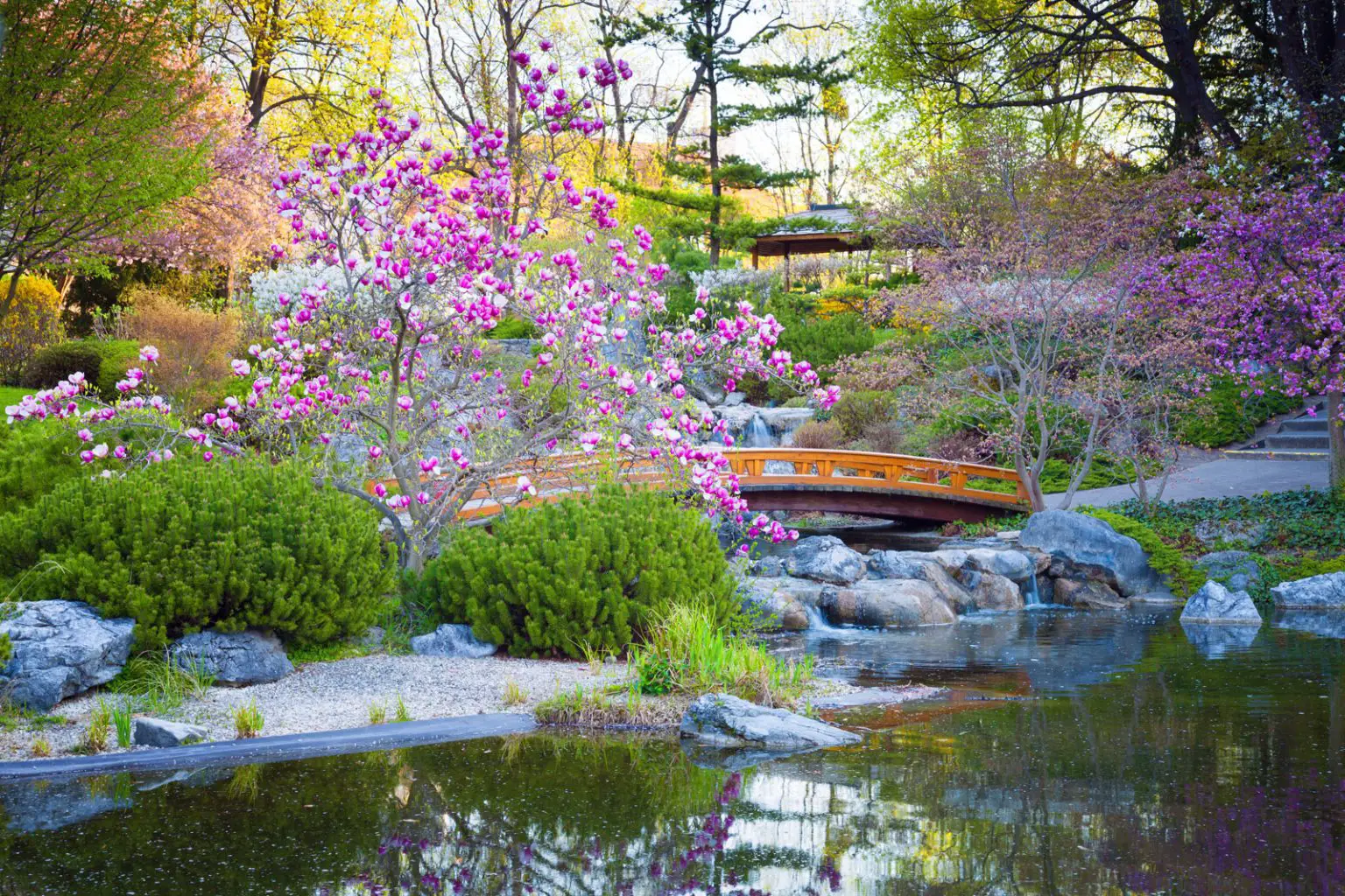 zen gardens floral irvine