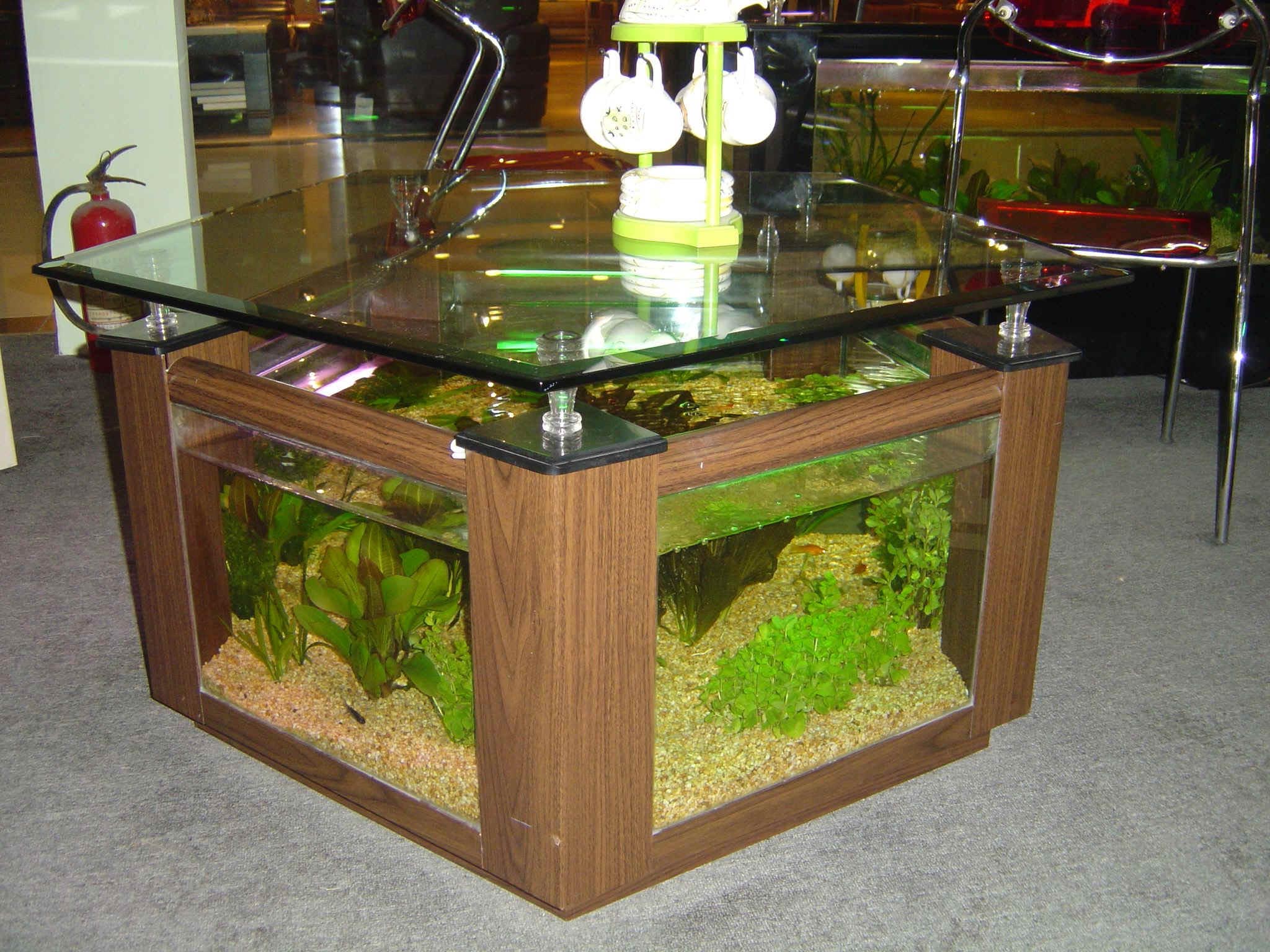 terrarium kitchen tabl