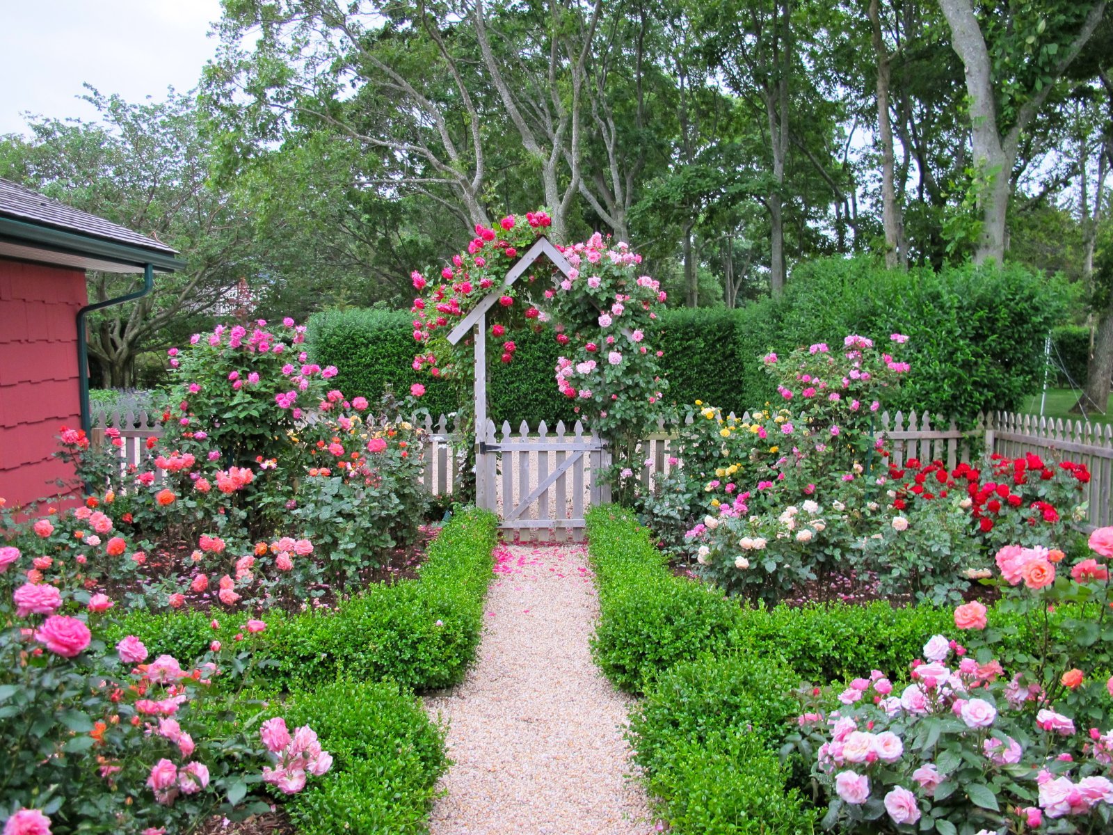 22-summer-flower-to-brighten-your-cottage-garden-ideas-talkdecor