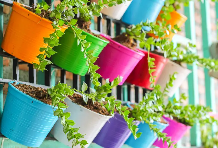 10 Easy and Cheap Colorful Container Garden ideas you can go wrong