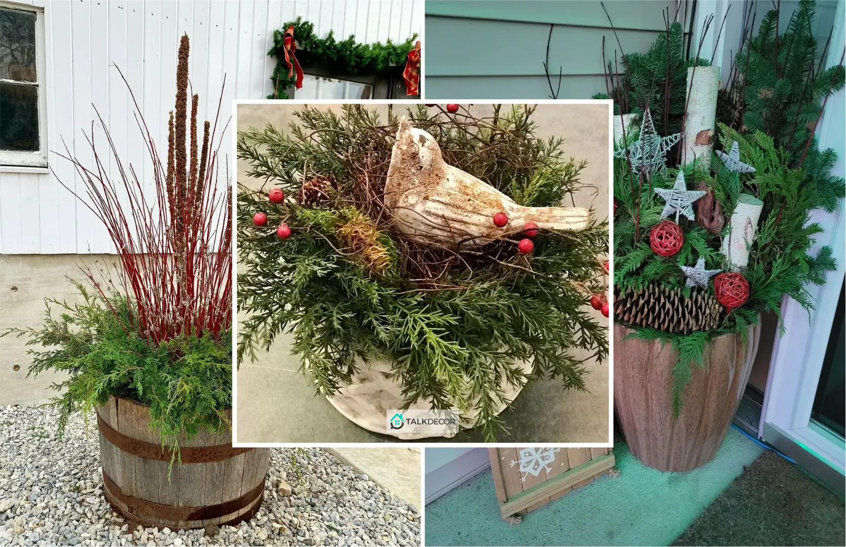 40 Planter Ideas to Help Survive this Winter