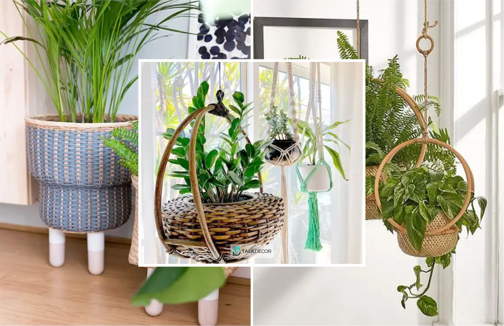 How to Use Basket as Your Planter