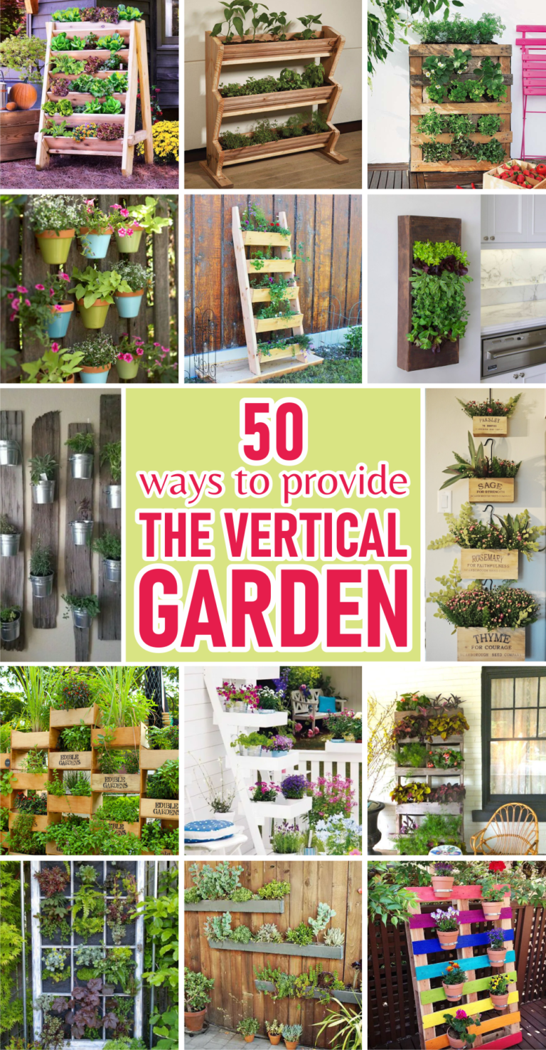 50 Ways to Provide the Vertical Garden - Talkdecor