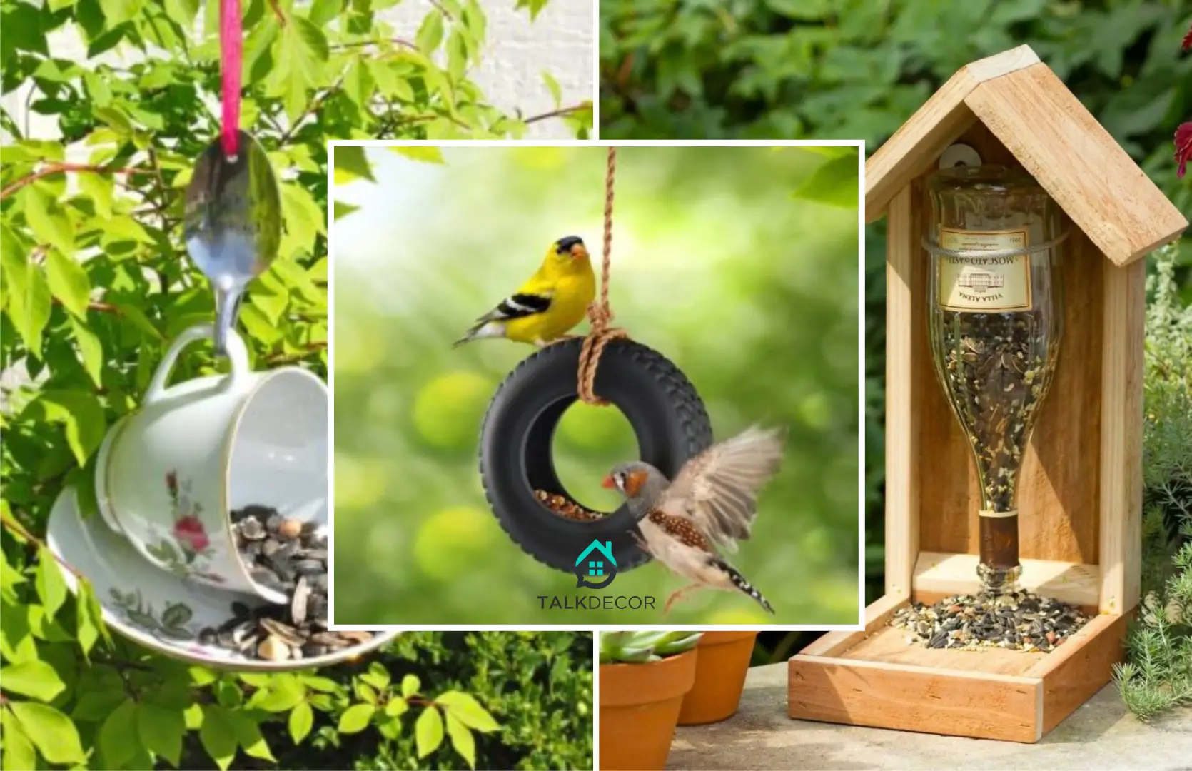 How to Provide the Bird Feeder for Your Garden