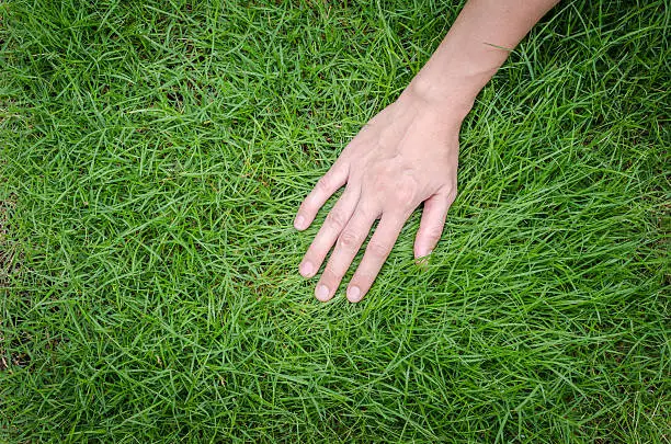 8 Benefits of Hiring Lawn Care Experts for a Healthy Lawn