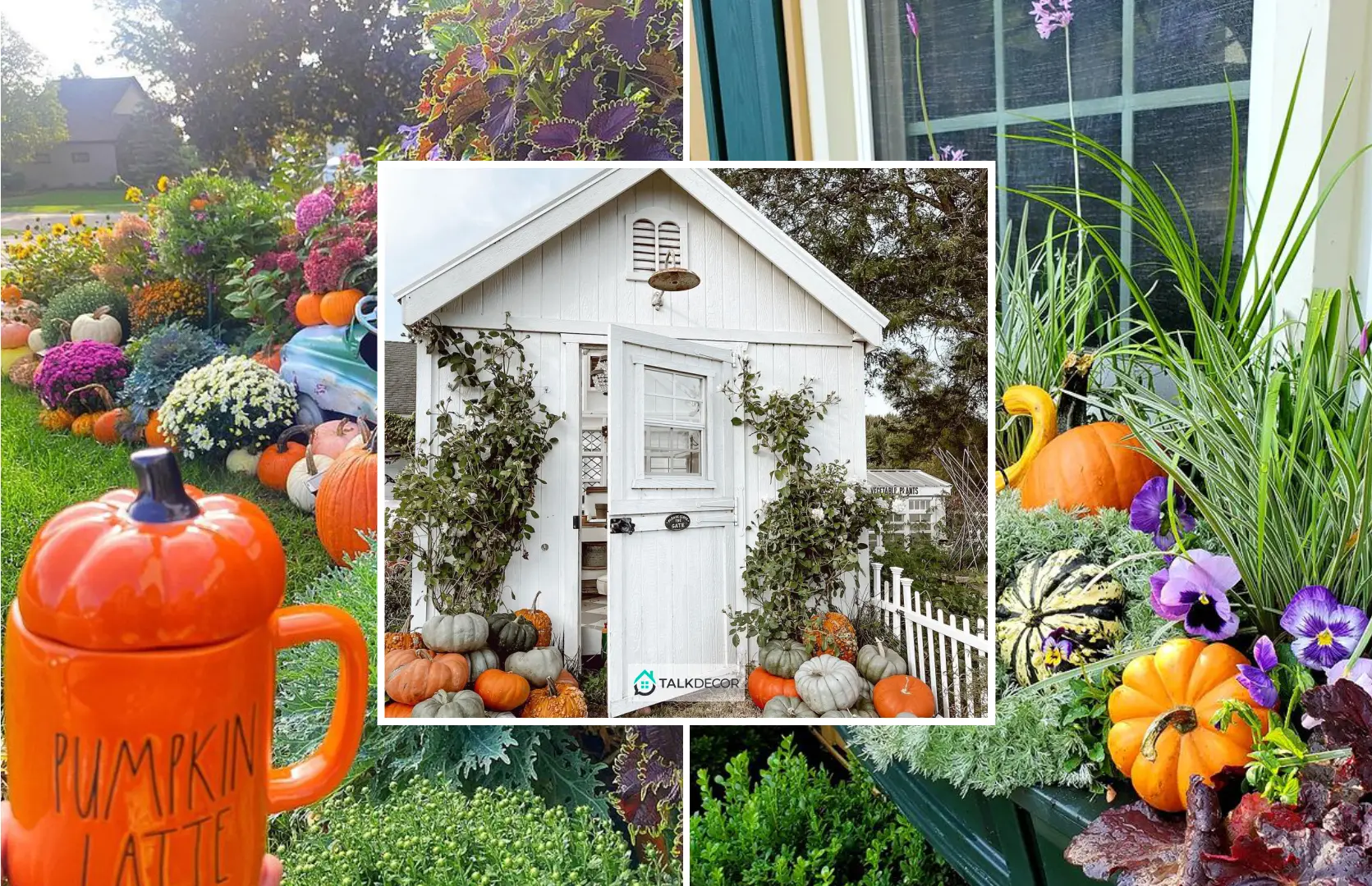 Provide the Pretty Fall Touches to Your Garden
