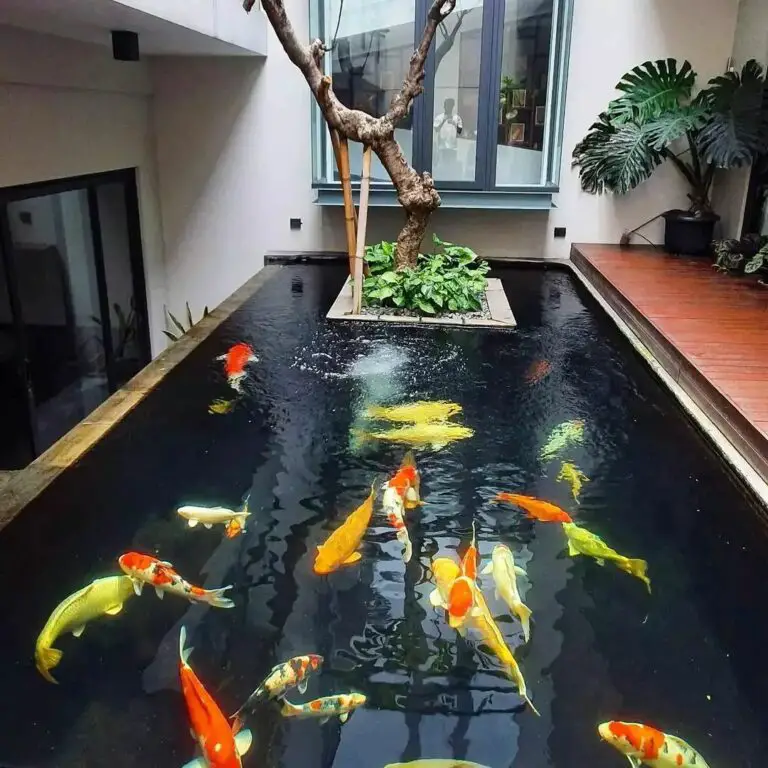 30 Worthy Indoor Fish Pond Ideas to Add Some Nature Impression into ...